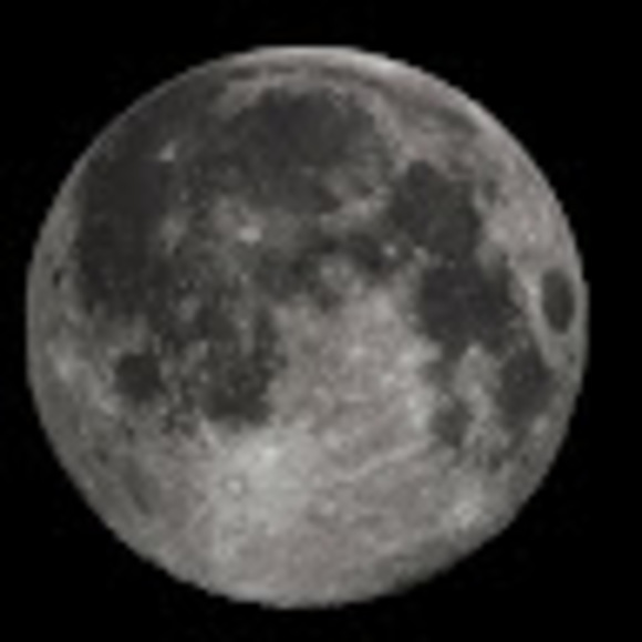 Meet your Posher, Adam - Picture 1 of 1